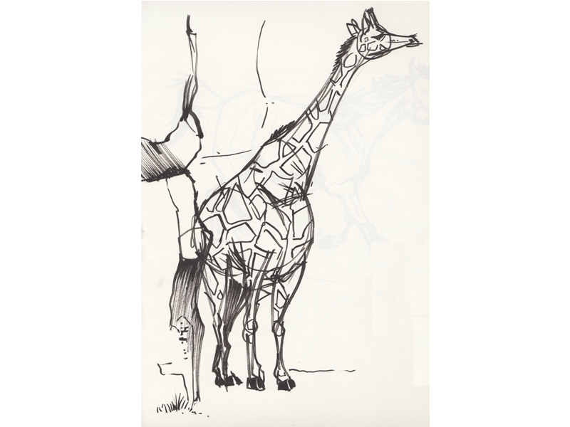 giraffe